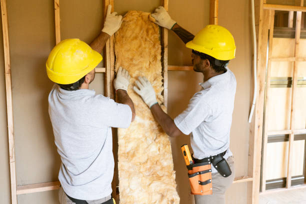 Types of Insulation We Offer in Pasatiempo, CA