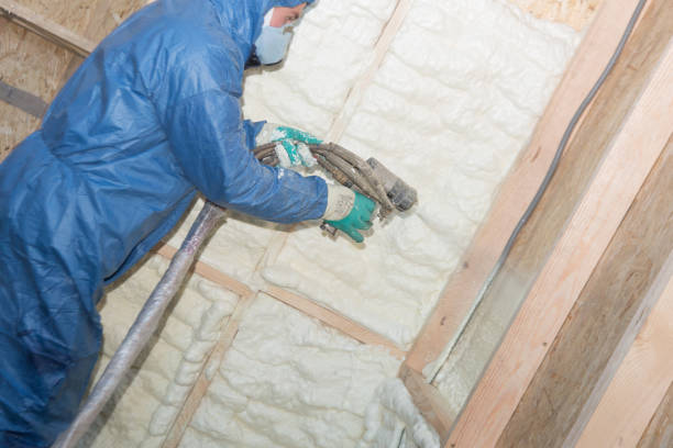 Best Attic Insulation Installation  in Pasatiempo, CA